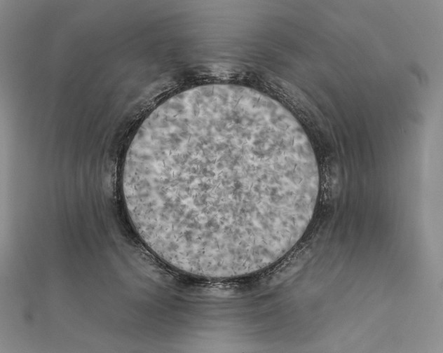 X0000111150656200907281133