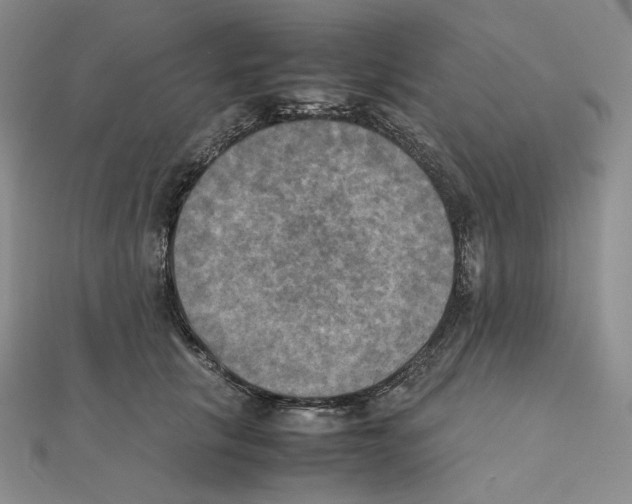 X0000111150657200907281133