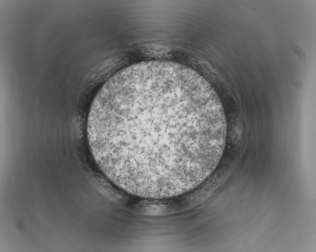 X0000111150658200907281133