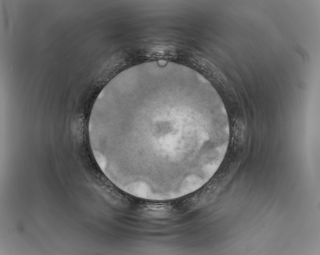 X0000111150659200907281133