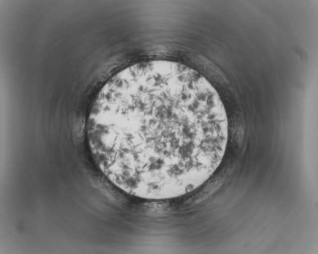 X0000111150660200907281133