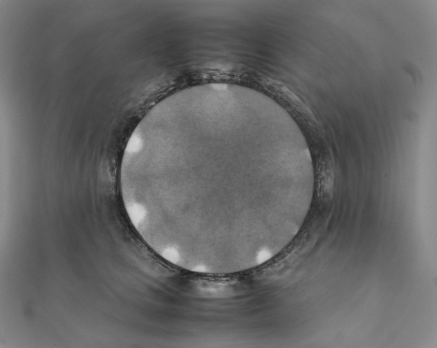 X0000111150661200907281133