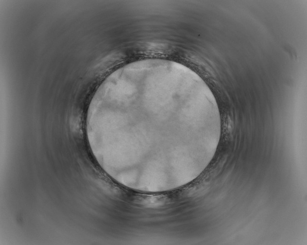 X0000111150663200907281133