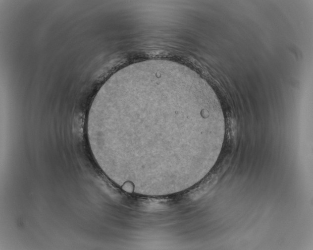 X0000111150664200907281133