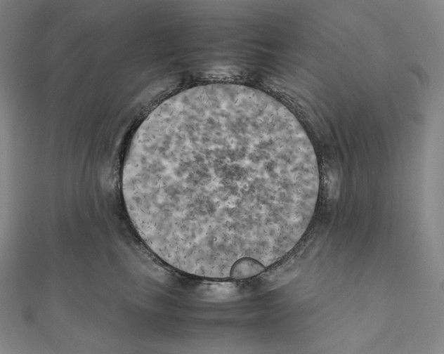 X0000111150665200907281133