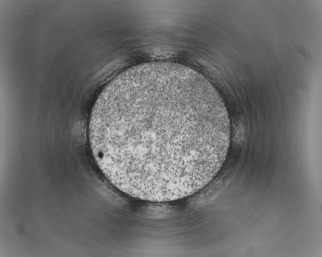 X0000111150666200907281133