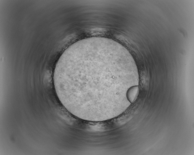 X0000111150667200907281133