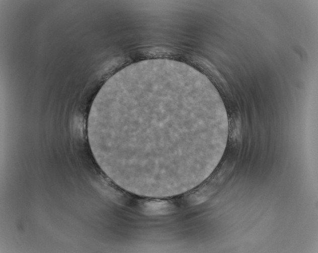 X0000111150669200907281133