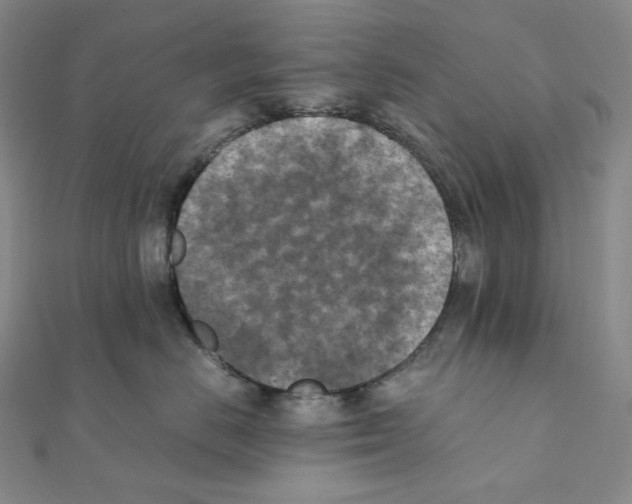 X0000111150670200907281133