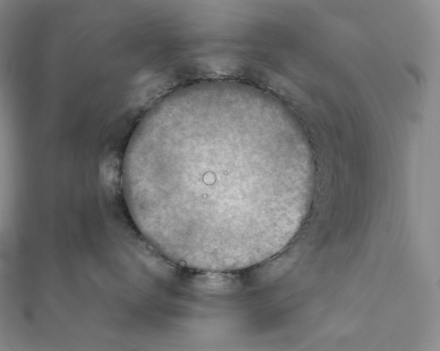 X0000111150672200907281133