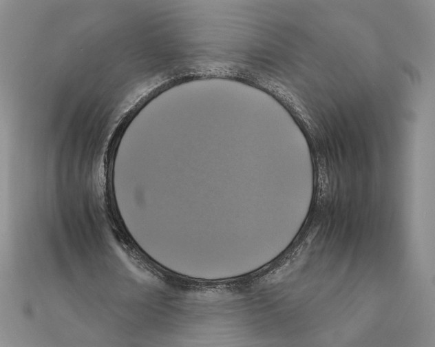 X0000111150674200907281133