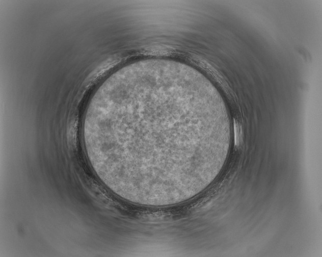 X0000111150675200907281133