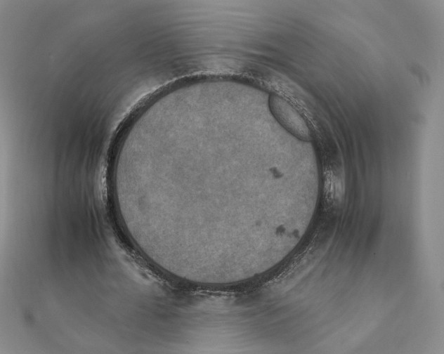 X0000111150676200907281133