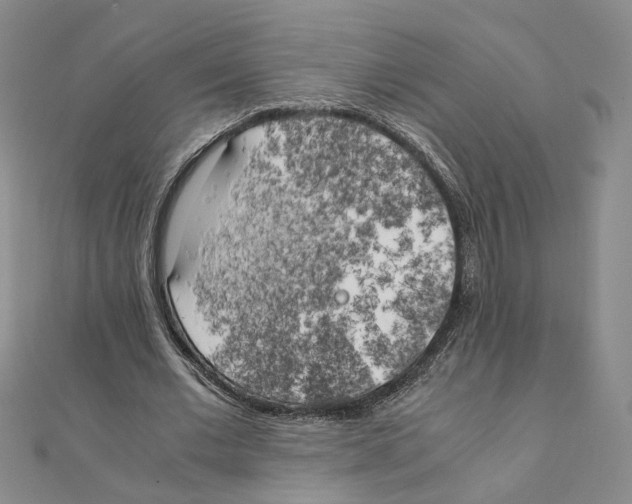 X0000111150677200907281133