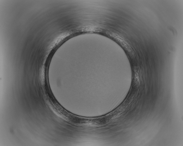 X0000111150678200907281133