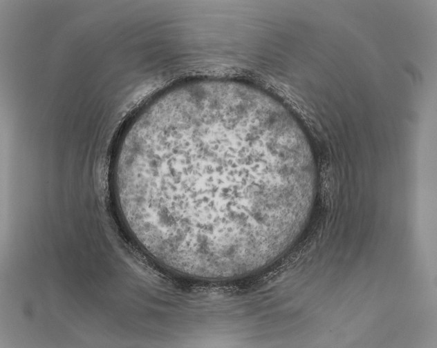 X0000111150679200907281133