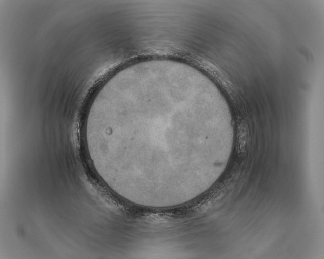 X0000111150680200907281133