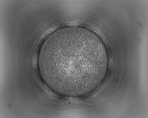 X0000111150681200907281133