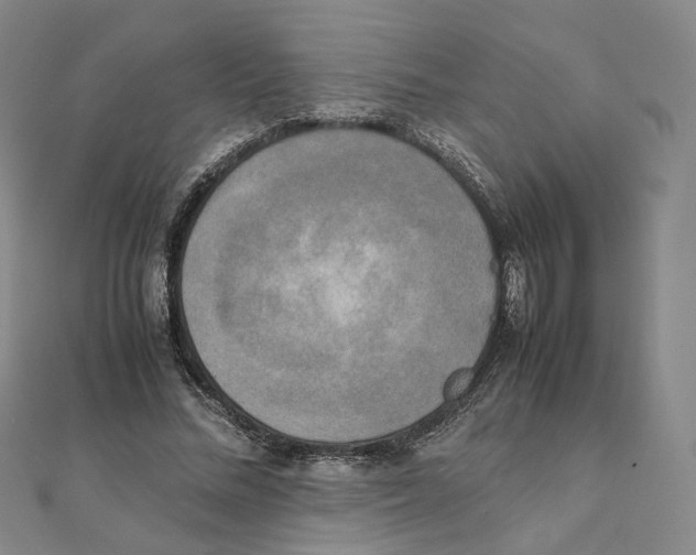 X0000111150684200907281133