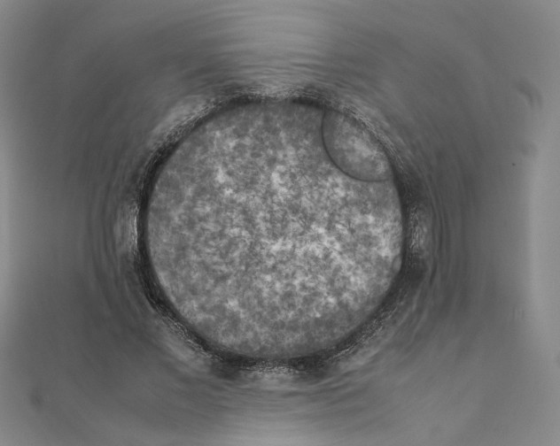 X0000111150685200907281132