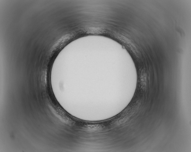 X0000111150686200907281132