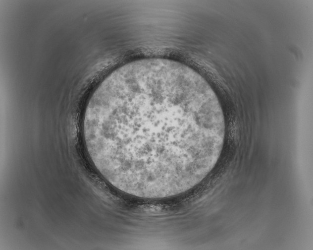 X0000111150687200907281132