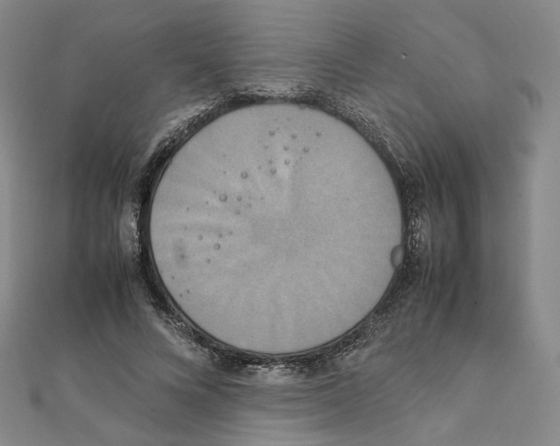 X0000111150688200907281132