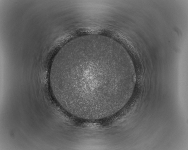 X0000111150689200907281132