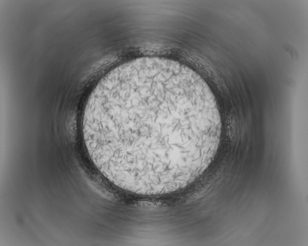 X0000111150690200907281132