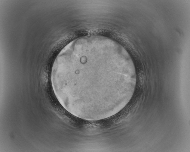 X0000111150691200907281132