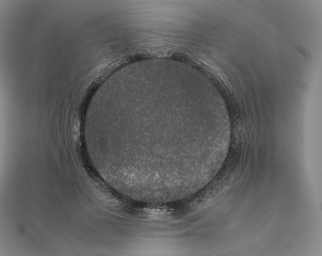 X0000111150693200907281132