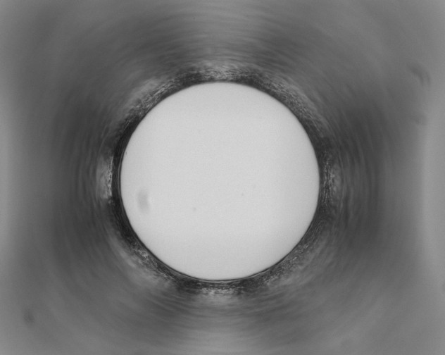 X0000111150694200907281132