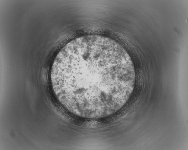 X0000111150695200907281132