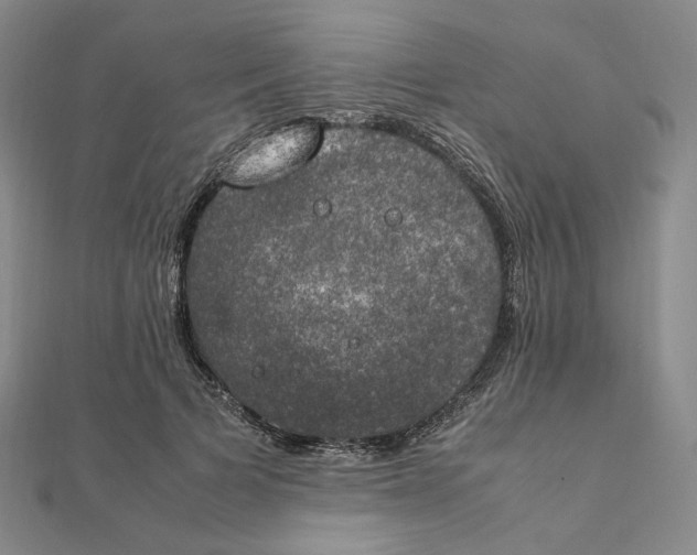 X0000111150697200907281132