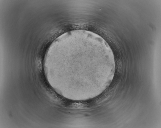 X0000111150699200907281132