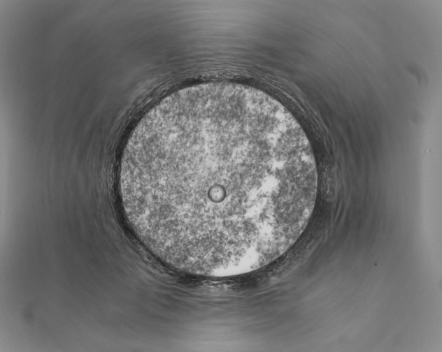 X0000111150701200907281132