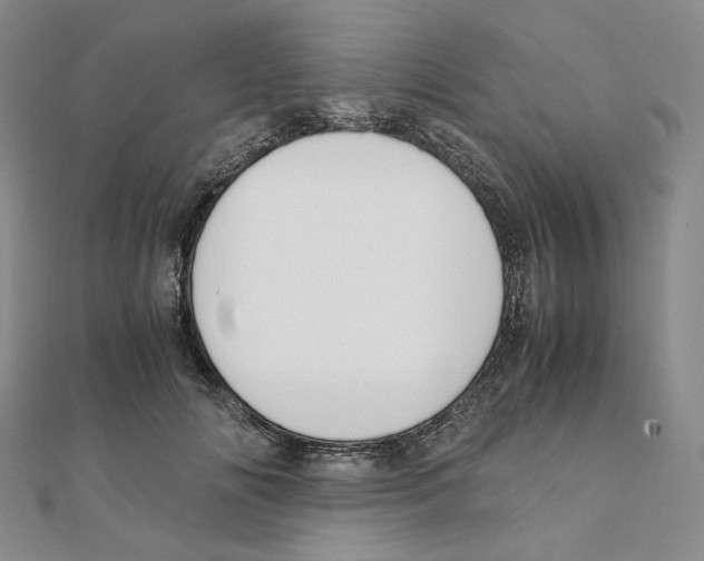 X0000111150702200907281132