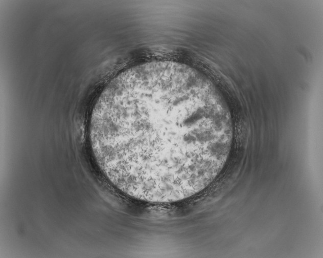 X0000111150703200907281132