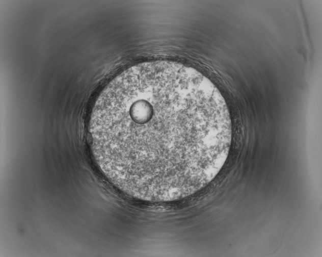 X0000111150704200907281132