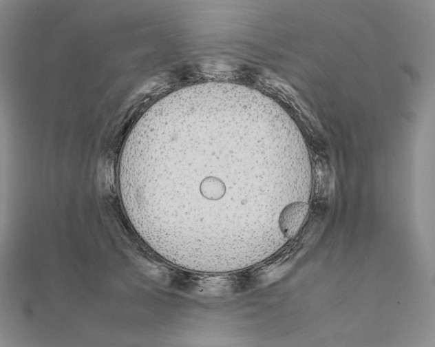 X0000111150705200907281132