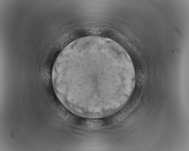 X0000111150707200907281132