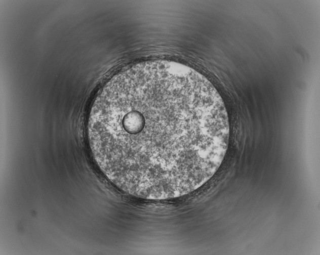 X0000111150708200907281132