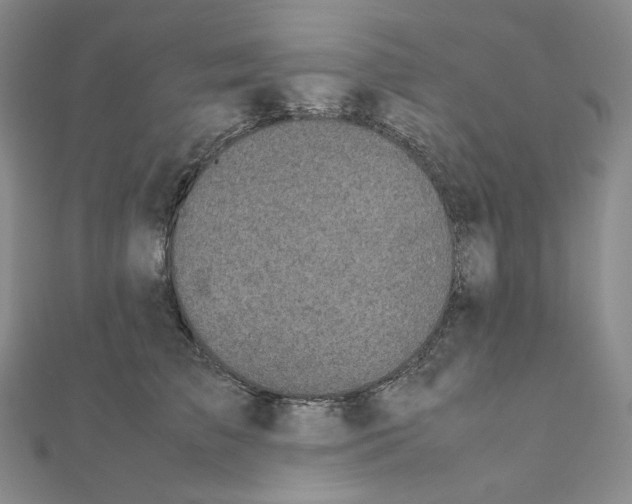 X0000111150709200907281132