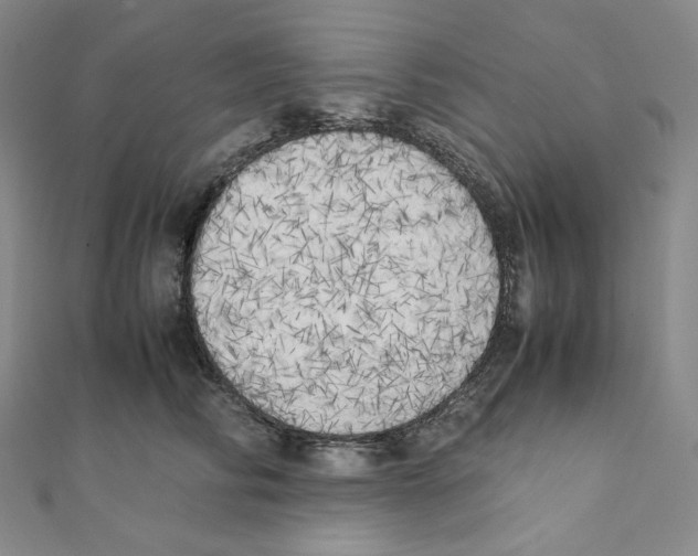 X0000111150710200907281132