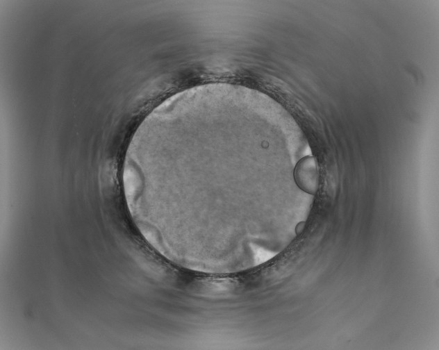 X0000111150711200907281132