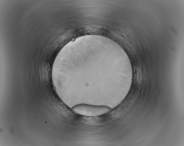 X0000111150712200907281132