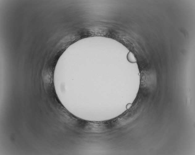 X0000111150713200907281132