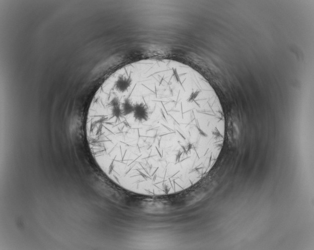 X0000111150714200907281132