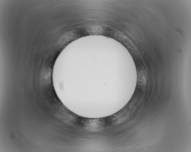 X0000111150717200907281132