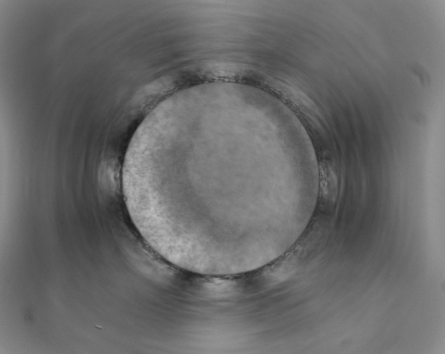 X0000111150718200907281132